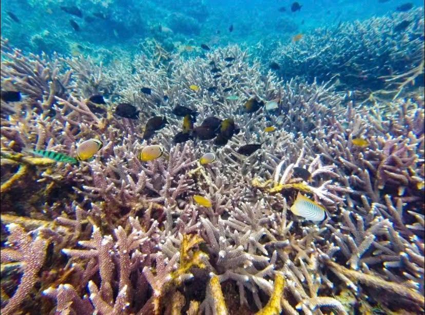 Sambu Bungalow Batununggul Esterno foto